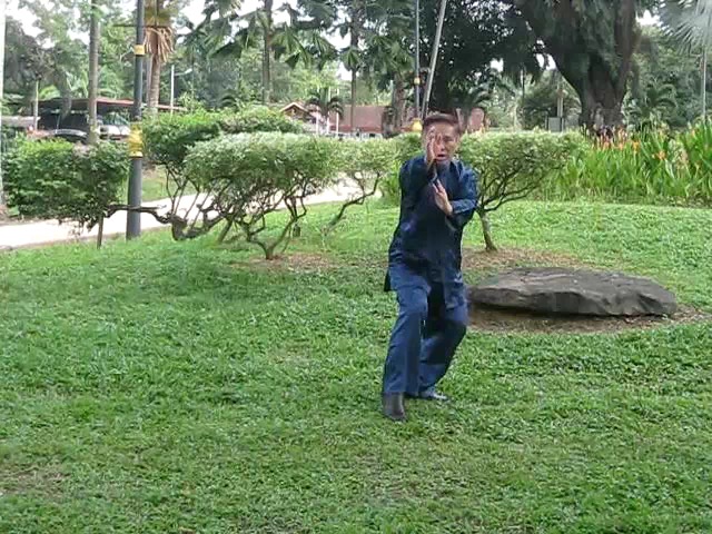 Wu Yu Xiang Style Taijiquan